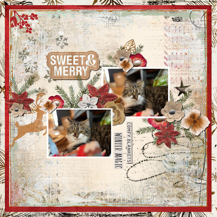 Dec 04 - Christmas Kitty