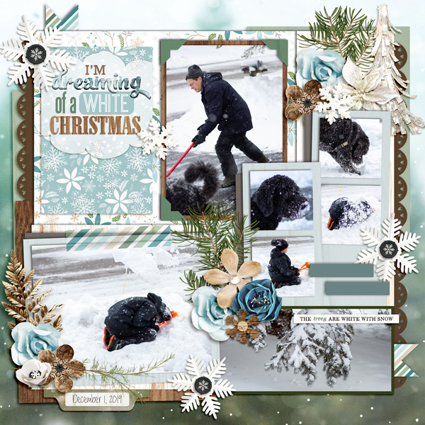 Dec 1 shoveling