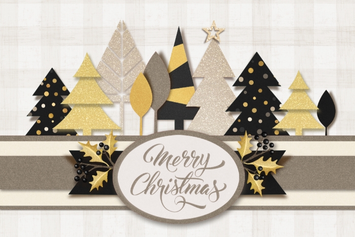 Dec 11 sparkle and shine