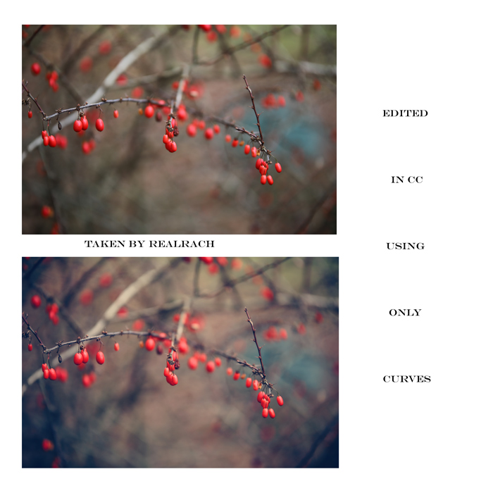 Dec 6 Holiday challenge