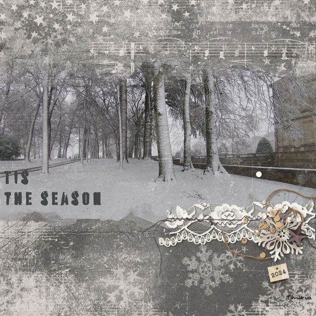 Dec daily - Tis the season