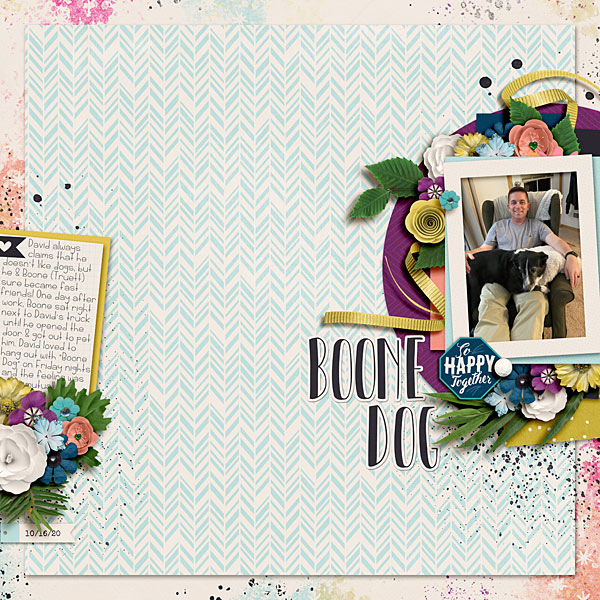 Dec Passport #12 Boone Dog