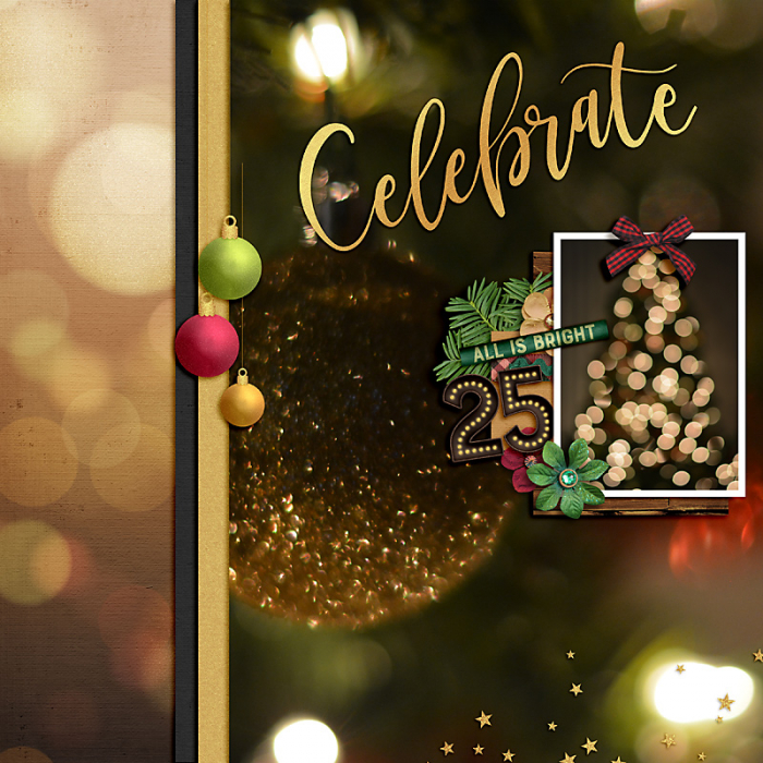 December 2020 Passport to Celebration: Square 7 Photography: Bokeh