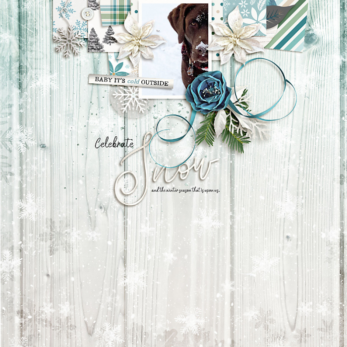 December 2020 Passport to Celebration: Square 8 Quote