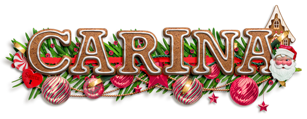 December-21 signature