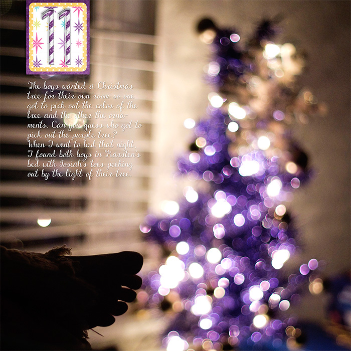 December Daily 2011 - Day 11