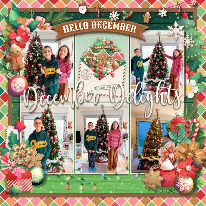 December Delights