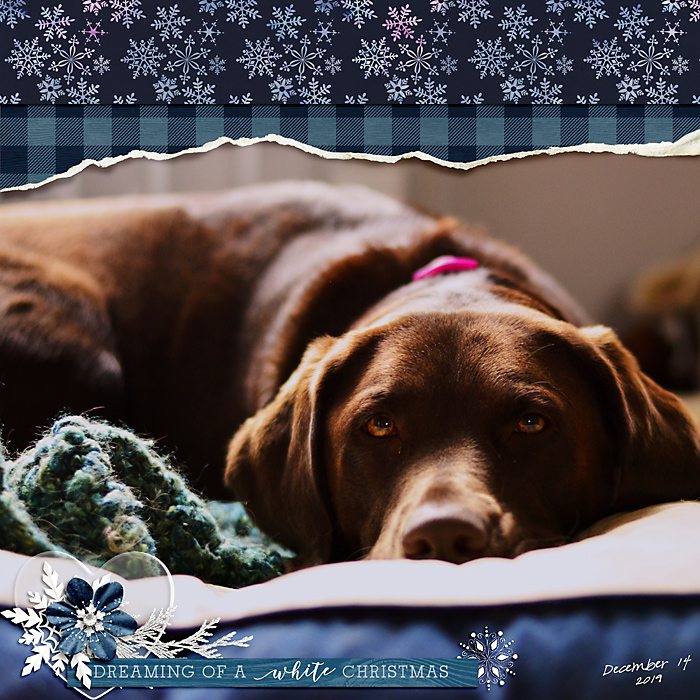 December Passport Challenge 16-Rewind/Flashback: Torn Paper Edges