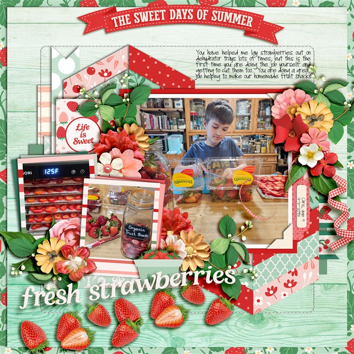Dehydrating Summer Strawberries
