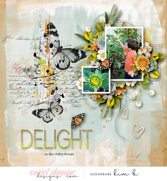 Delight