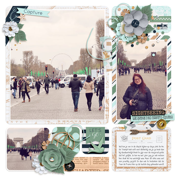 Des Champs Elysees