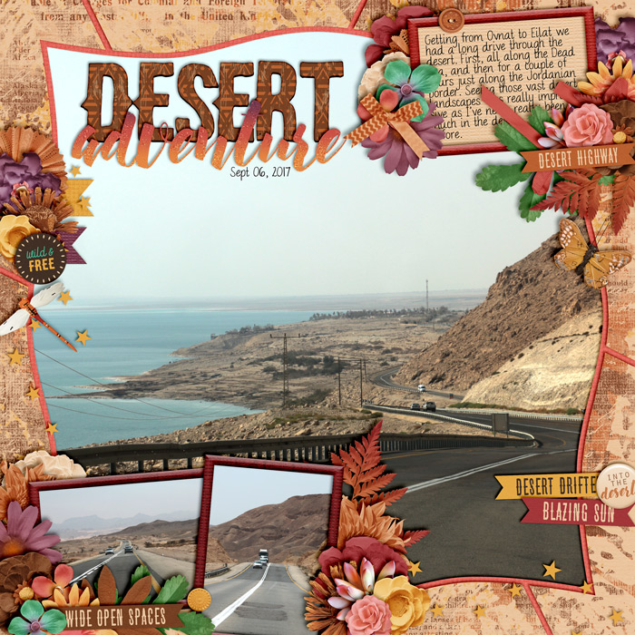 Desert Adventure