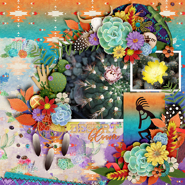 Desert Blooms