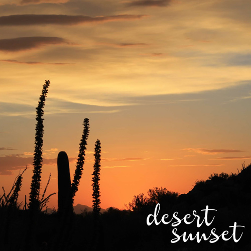 Desert Sunset