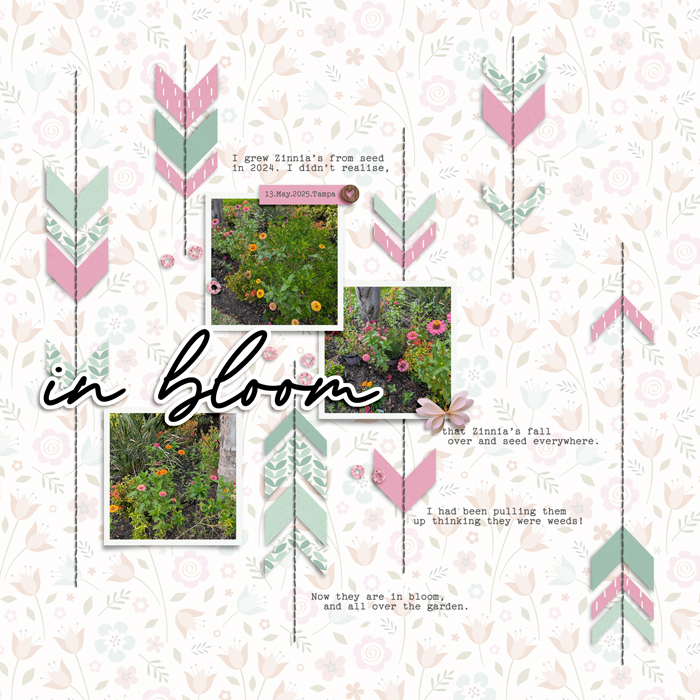 Designed by Soco - Playing with Chevrons No.6