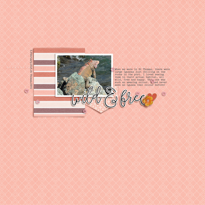 Designed by Soco - Wild & Free