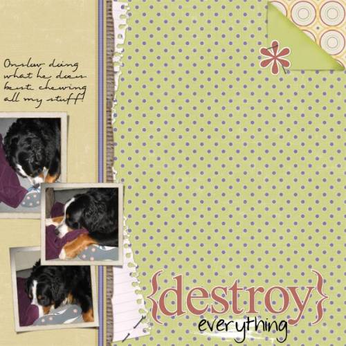 {destroy}