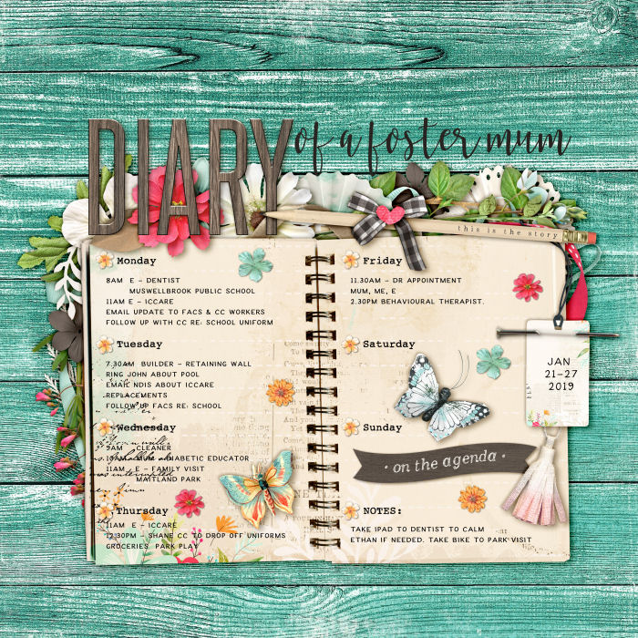 Diary of a Foster Mum