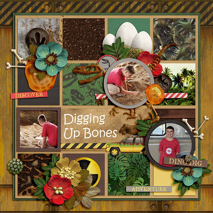 Digging Up Bones