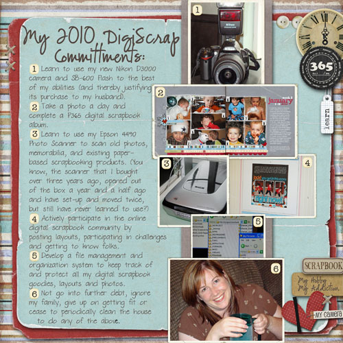 DigiSrcap 2010