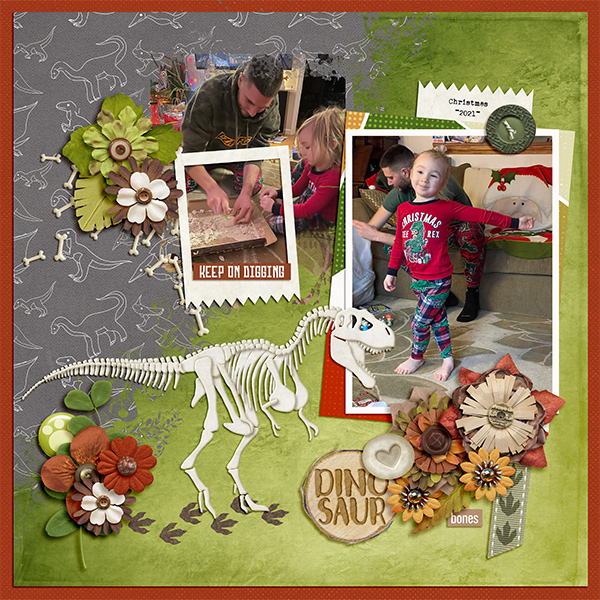 Dinosaur Bones