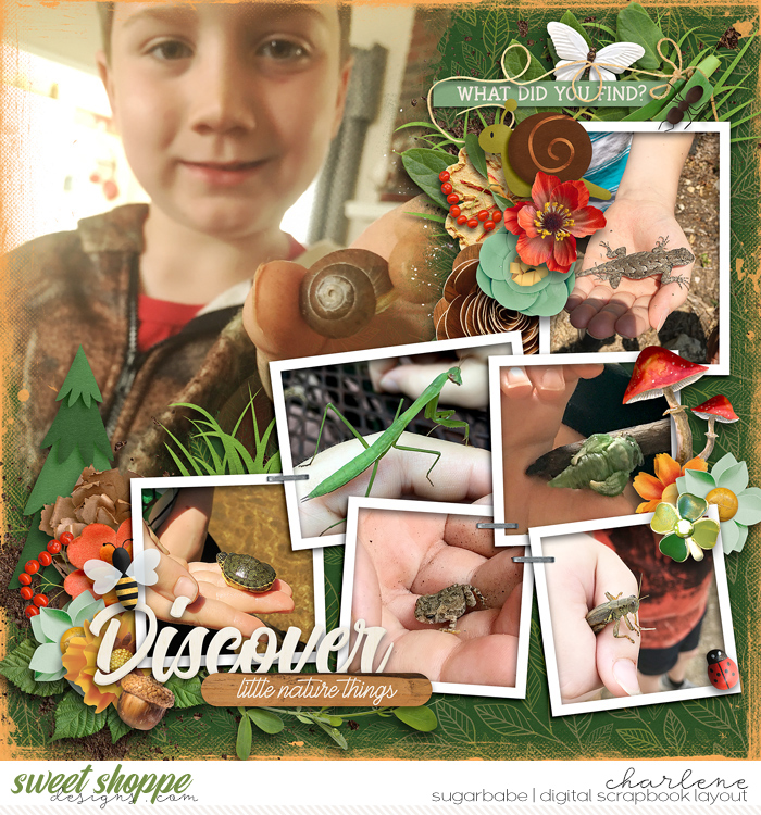 Discover Little Nature Things