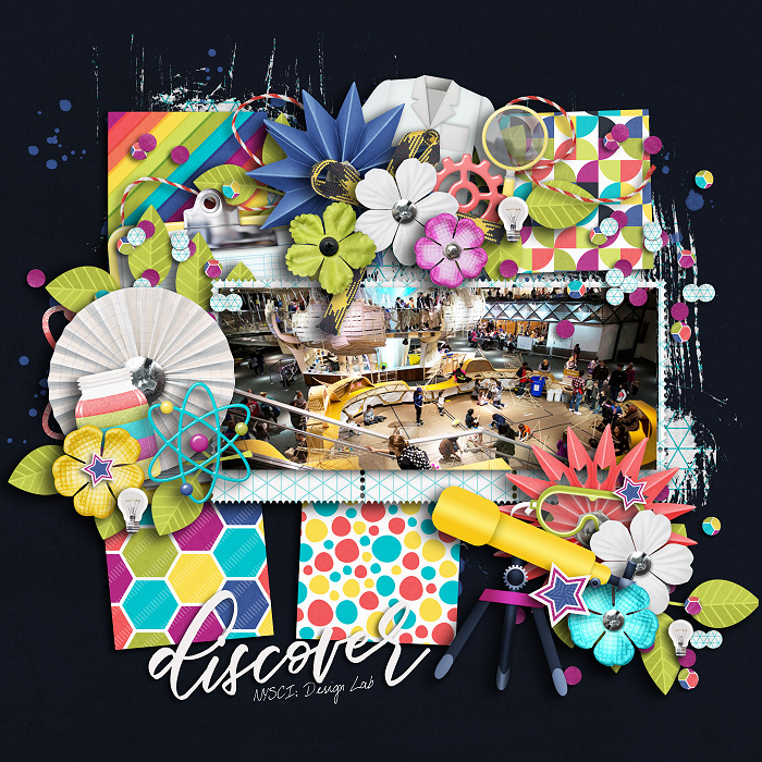 Discover
