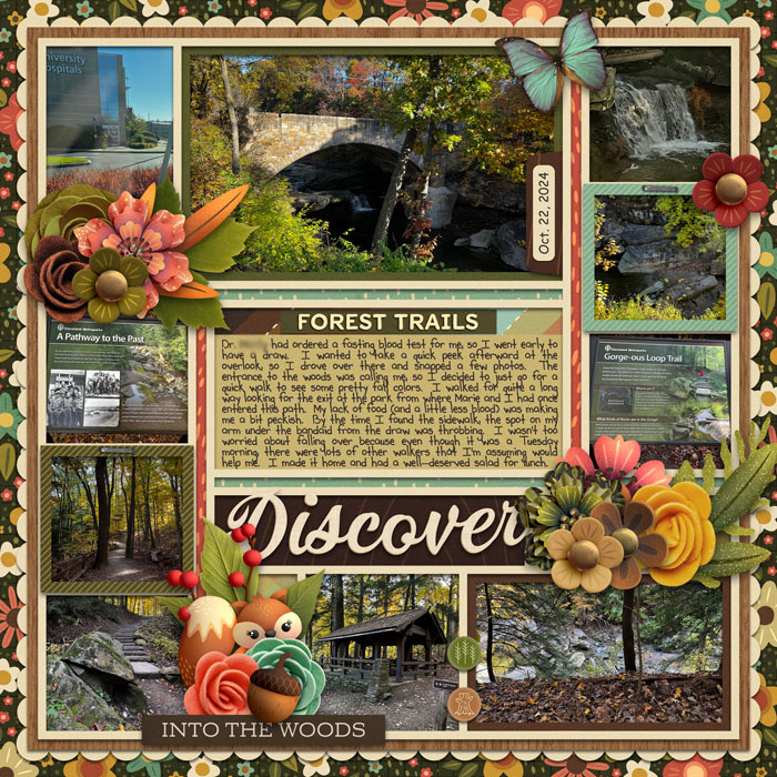Discover