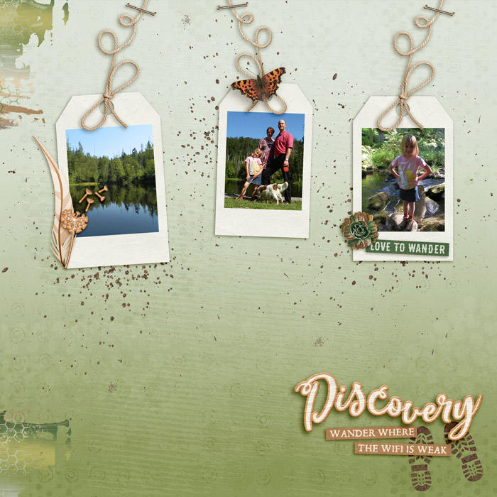 Discovery