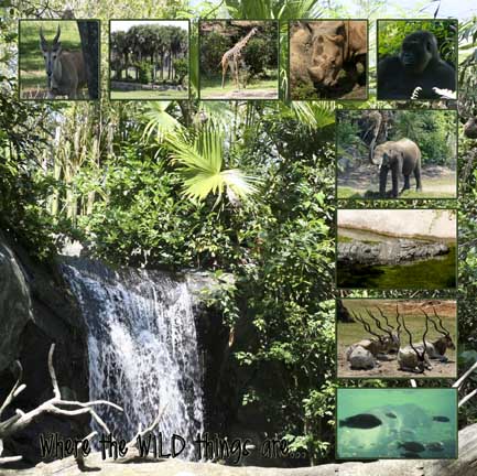Disney: Animal Kingdom