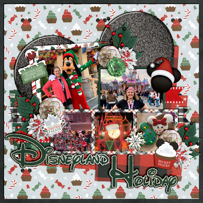 Disneyland Holiday