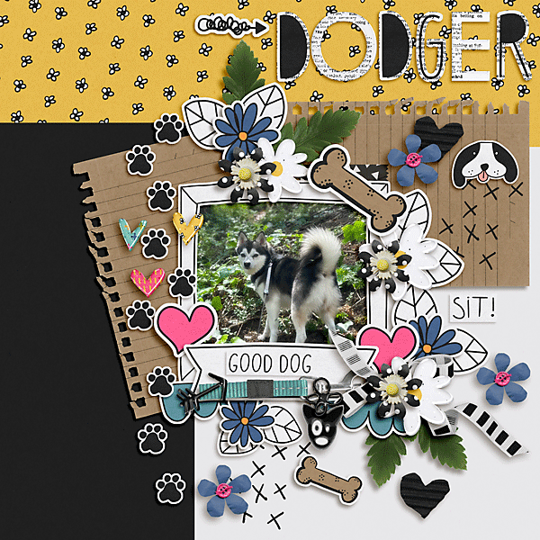 Dodger - good dog!