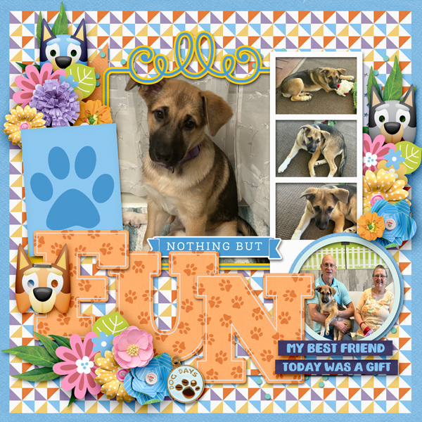 Dog Adoption Day