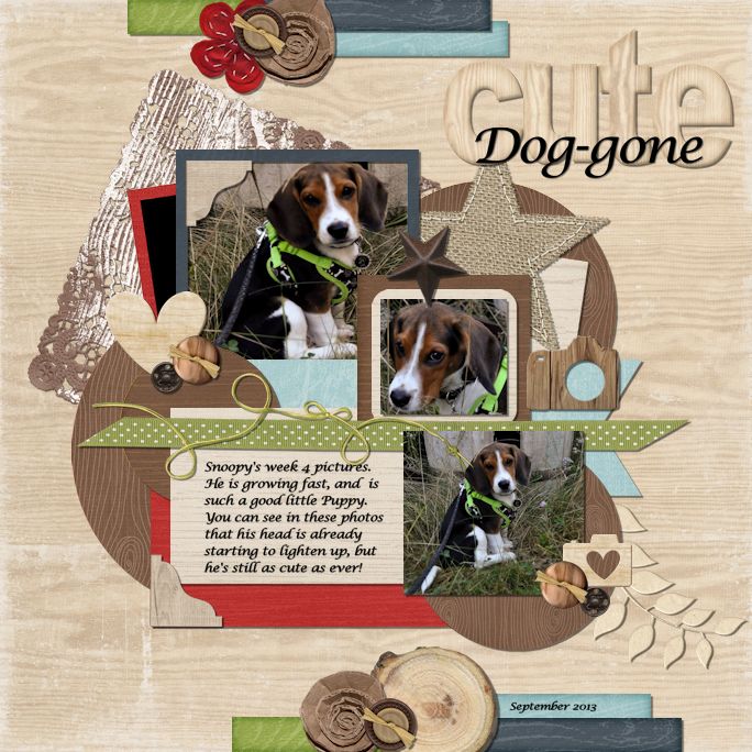 Dog-gone Cute