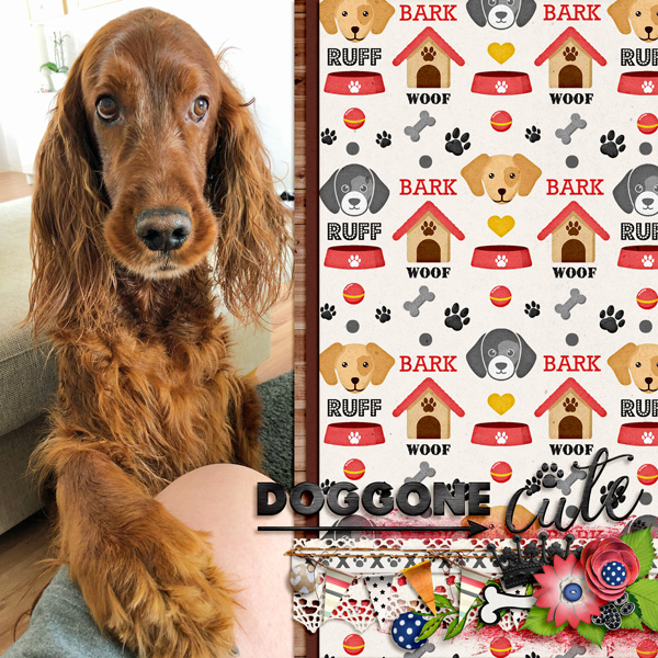 Dog gone cute