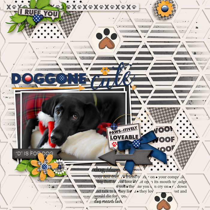Dog- gone Cute