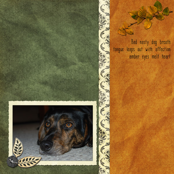 Dog Haiku