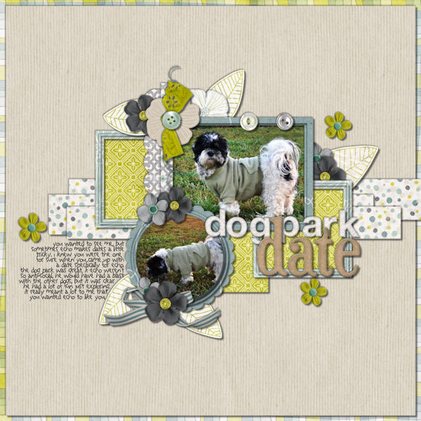 Dog Park Date