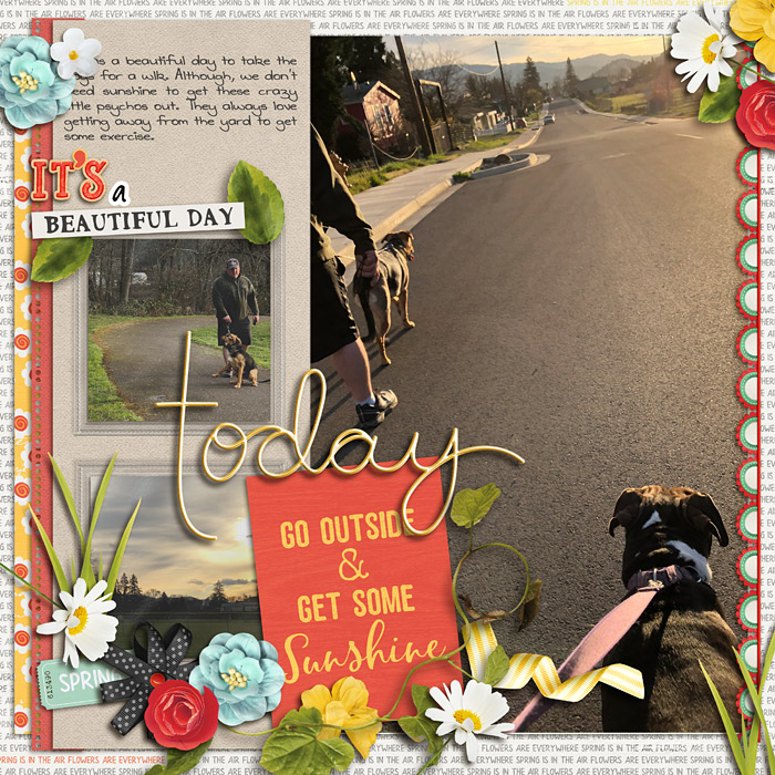 Dog Walk