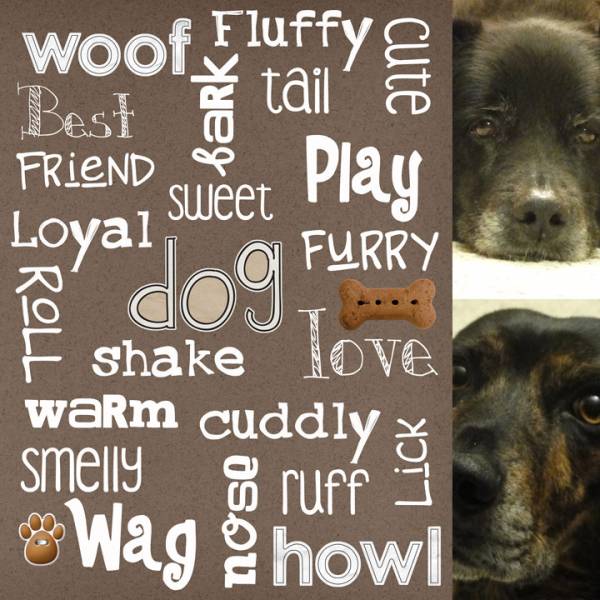 Dog Word Art