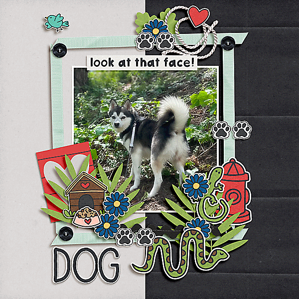 dog_petpals.gif