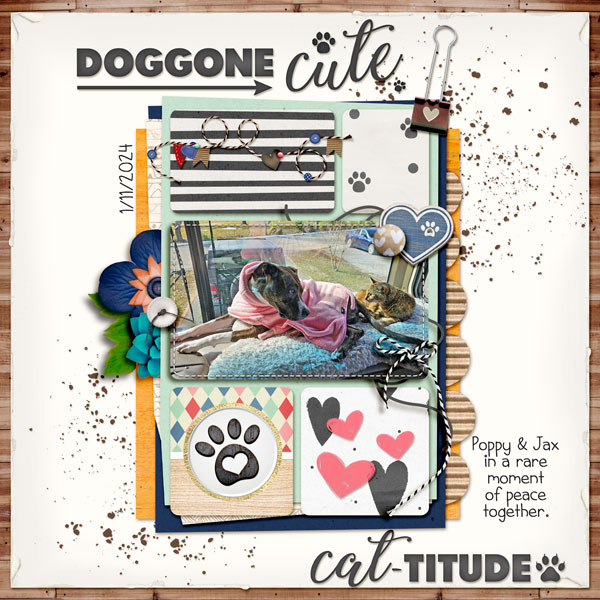 Doggone Cat