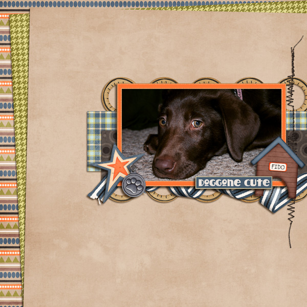 Doggone Cute