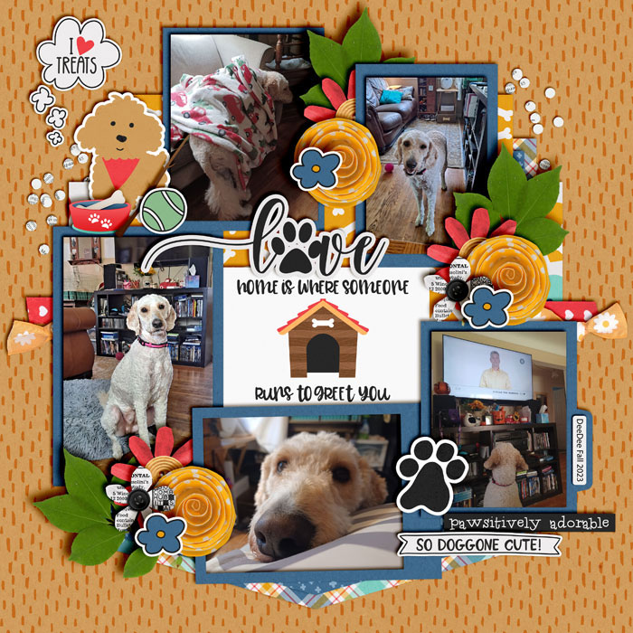 Doggone Cute