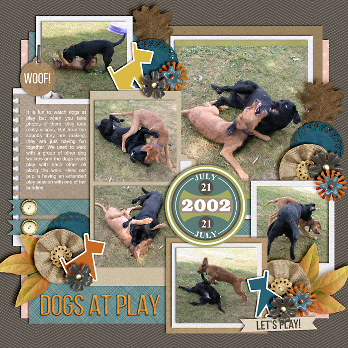 Dogs at Play