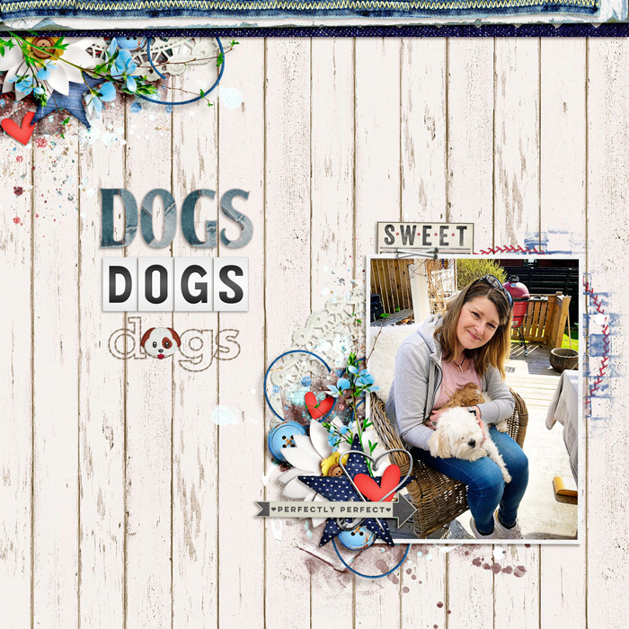 Dogs, Dogs, Dogs