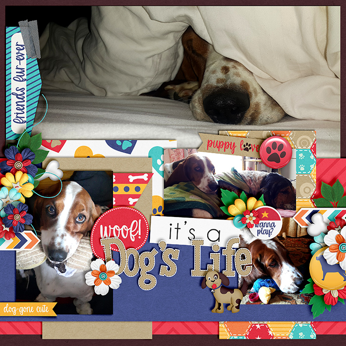 Dog's Life