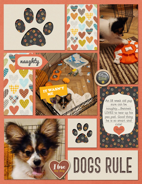 Dogs Rule
