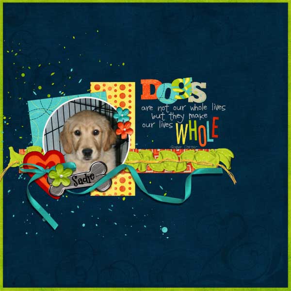 Dogs
