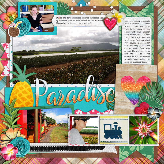 Dole Plantation right